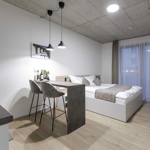 Apartament confort cu duș cu 1 camera pentru 2 pers.