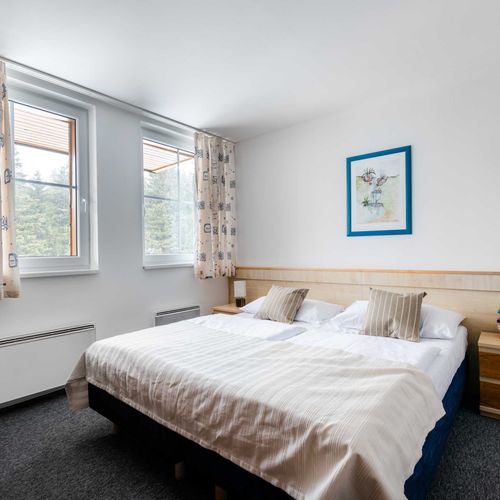 Executive  Apartman pro 3 os. s 1 ložnicí (s možností přistýlky)