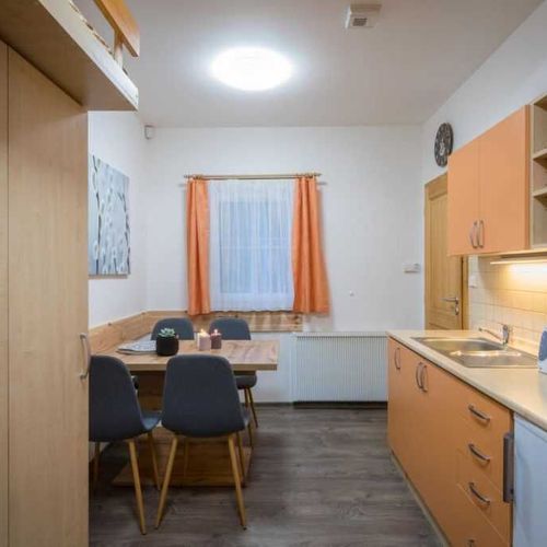 Apartament 3-osobowy z prysznicem z aneksem kuchennym (możliwa dostawka)