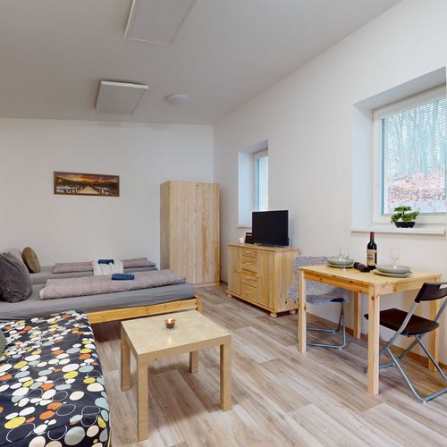 Apartman se sprchou s vlastní kuchyňkou pro 4 os. s 1 ložnicí