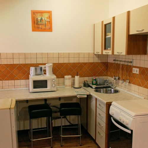 Apartament la parter cu vedere spre grădină cu 1 camera pentru 2 pers.