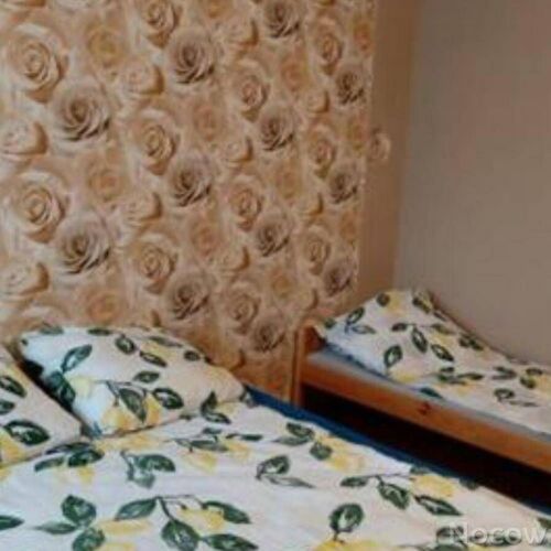 Apartament cu duș cu grădină cu 1 camera pentru 2 pers. (se poate solicita pat suplimentar)
