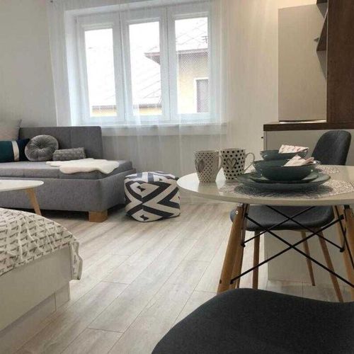 Apartament studio queen cu 1 camera pentru 3 pers.