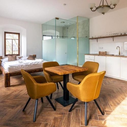 Apartament studio cu duș cu 1 camera pentru 2 pers. (se poate solicita pat suplimentar)