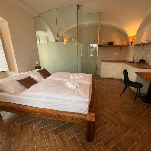 Apartament studio cu duș cu 1 camera pentru 2 pers.