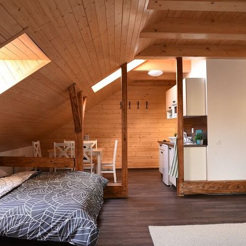 Apartament 4-osobowy Superior z prysznicem (możliwa dostawka)