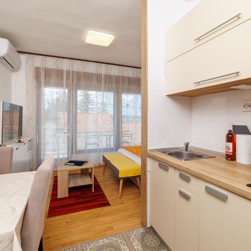 Apartament cu 1 camera pentru 2 pers.