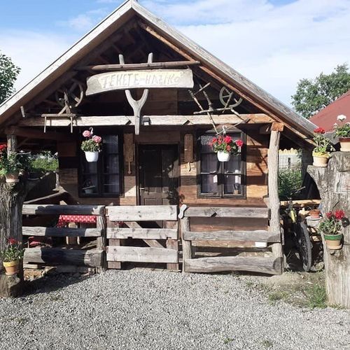 Bungalow cu baie pentru 3 pers. (se inchirieaza doar integral)