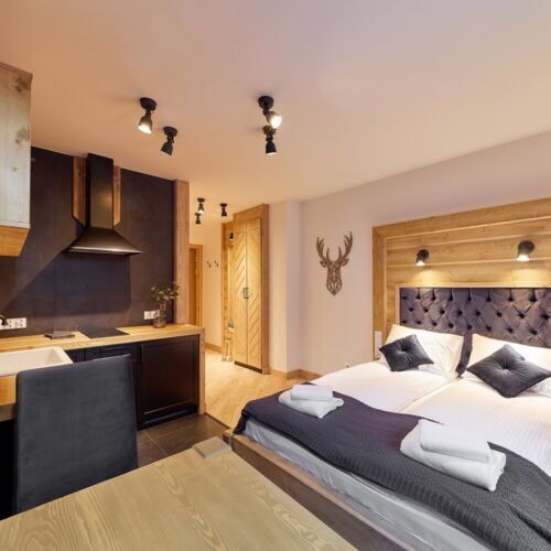 Apartament 2-osobowy Apartament typu studio (bez dostępu do strefy SPA) z 1 pomieszczeniem sypialnianym