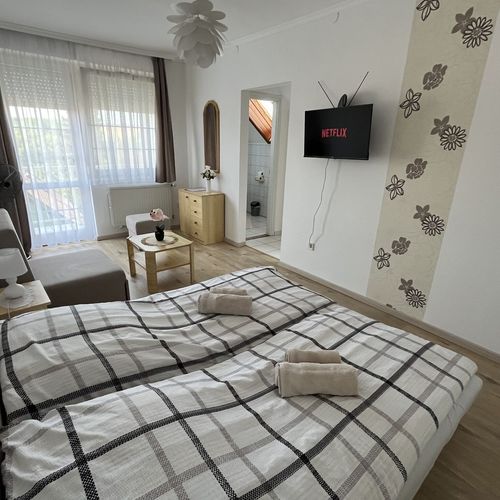 Apartament cu balcon cu panoramă cu 1 camera pentru 2 pers. (se poate solicita pat suplimentar)