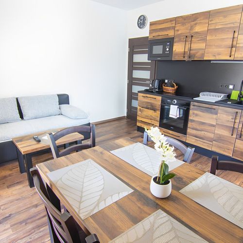 Apartman se sprchou s vlastní kuchyňkou pro 4 os. (s možností přistýlky)