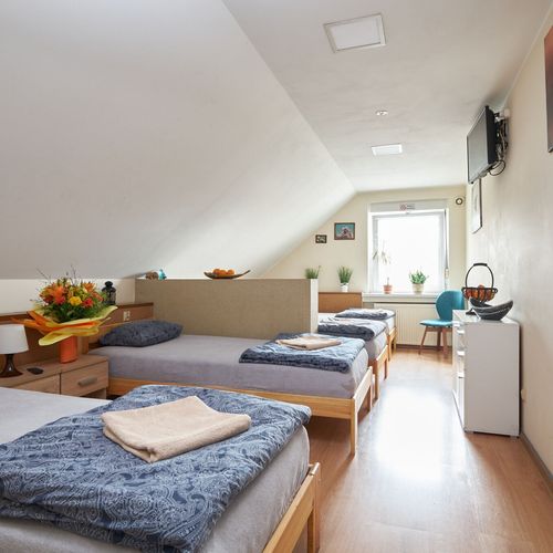 Apartament 4-osobowy z łazienką z własną kuchnią z 1 pomieszczeniem sypialnianym