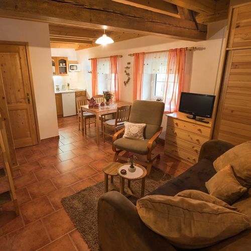 Apartament cu duș cu chicinetă proprie cu 1 camera pentru 4 pers. (se poate solicita pat suplimentar)