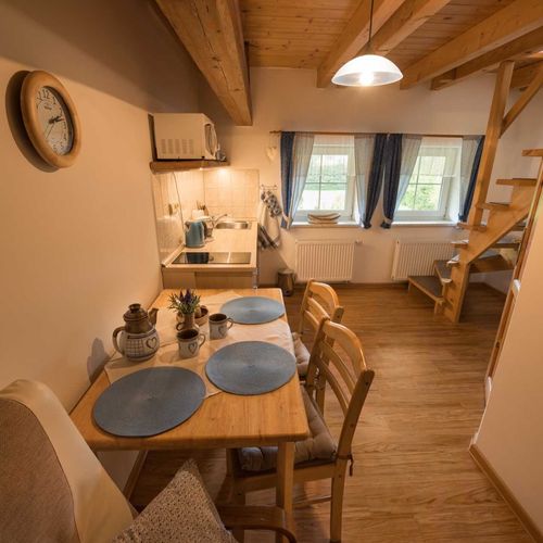 Apartament cu duș cu chicinetă proprie cu 1 camera pentru 3 pers.