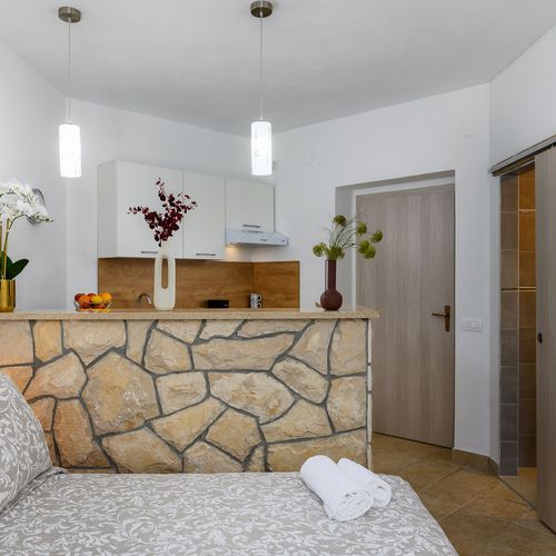 Apartament 2-osobowy Studio z 1 pomieszczeniem sypialnianym