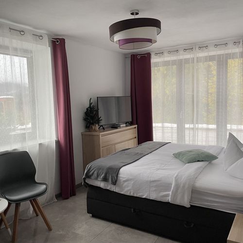 Apartament 2-osobowy Studio z widokiem na ogród z 1 pomieszczeniem sypialnianym (możliwa dostawka)