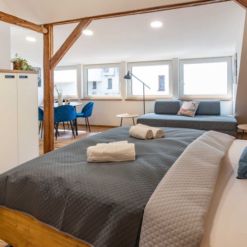 Apartament cu aer condiționat cu duș cu 1 camera pentru 2 pers. (se poate solicita pat suplimentar)