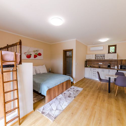Apartament 4-osobowy na parterze Przyjazny podróżom rodzinnym z 1 pomieszczeniem sypialnianym