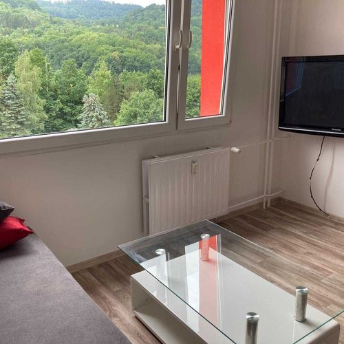 Apartman s balkónem se sprchou s manželskou postelí s 1 ložnicí (s možností přistýlky)