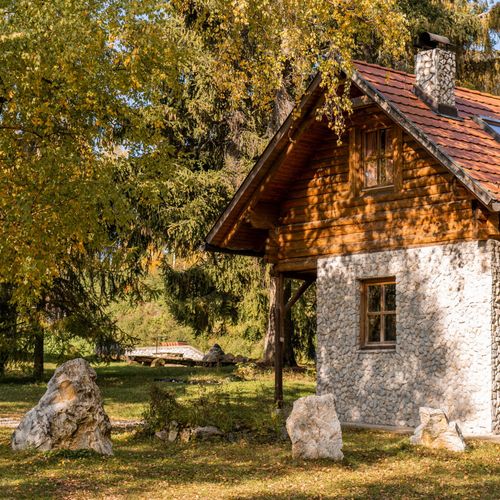 Casă de vacanță întreaga unitate cu vedere spre pădure pentru 4 pers. (se inchirieaza doar integral) (se poate solicita pat suplimentar)