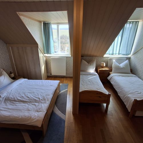 Apartament 4-osobowy Przyjazny podróżom rodzinnym z widokiem na las z 1 pomieszczeniem sypialnianym