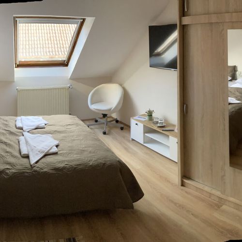 Apartament 3-osobowy z klimatyzacją z widokiem na miasto