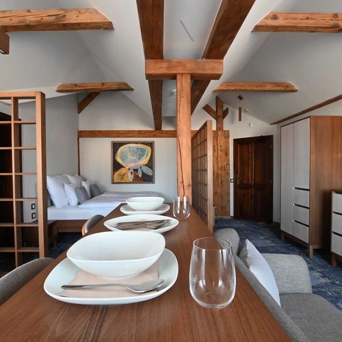 Apartman se sprchou s vlastní kuchyňkou s manželskou postelí s 1 ložnicí (s možností přistýlky)