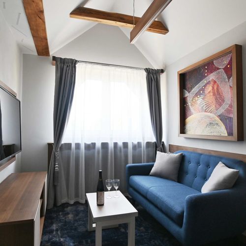 Apartman se sprchou s vlastní kuchyňkou s manželskou postelí s 1 ložnicí