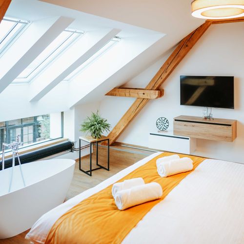 Pokoj se sprchou s klimatizací pro 2 os.