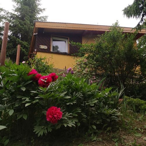 Apartament tourist cu vedere spre pădure pentru 2 pers. (se inchirieaza doar integral)
