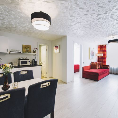Apartament deluxe cu 2 camere pentru 3 pers.