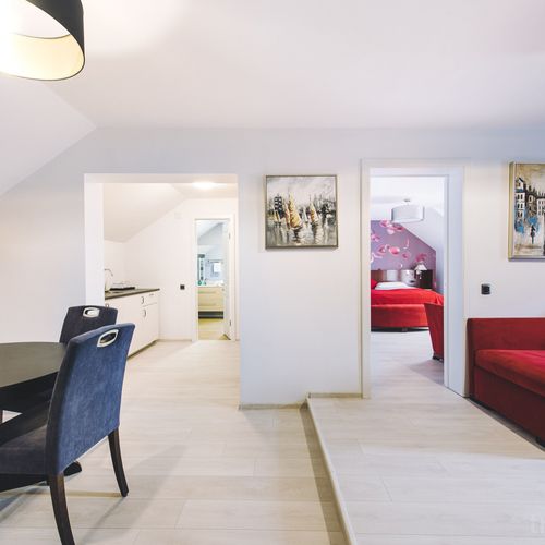 Apartament deluxe cu 2 camere pentru 3 pers.