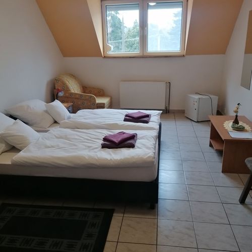 Camera twin cu baie cu aer condiționat (se poate solicita pat suplimentar)