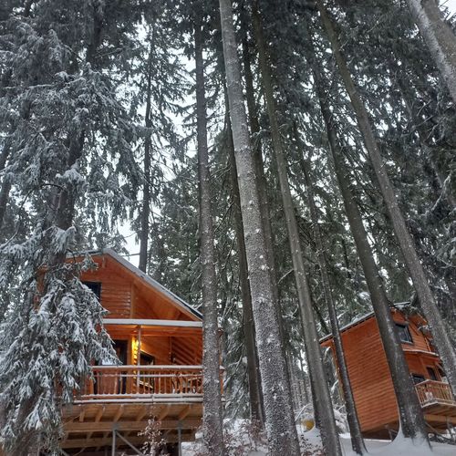 Cabană cu terasă cu panoramă pentru 4 pers. (se inchirieaza doar integral)