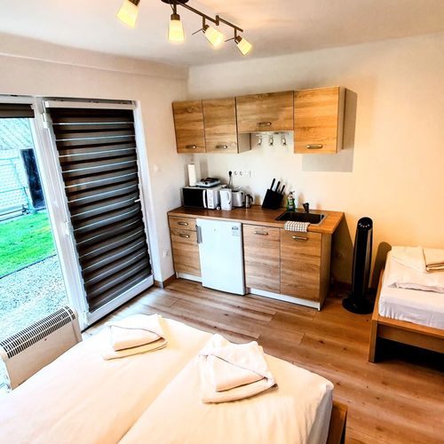 Executive Apartman s manželskou postelí s 1 ložnicí na přízemí (s možností přistýlky)