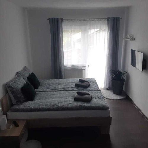 Apartament deluxe cu duș cu 1 camera pentru 2 pers. (se poate solicita pat suplimentar)