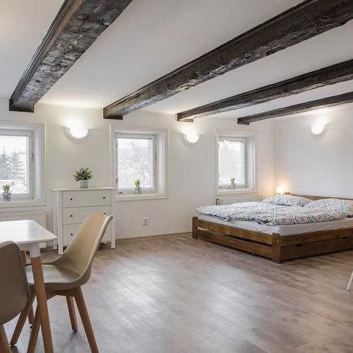 Apartament cu baie cu chicinetă proprie cu 1 camera pentru 2 pers.