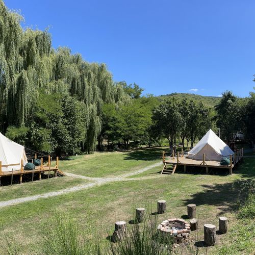 Pokój 4-osobowy na parterze z widokiem na las