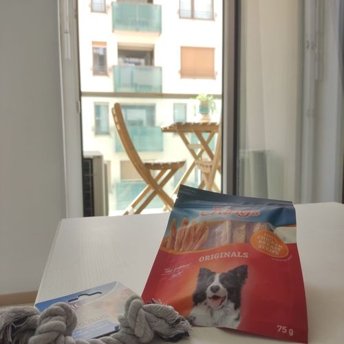 Apartament 2-osobowy Przyjazny małym zwierzętom Pet friendly z 1 pomieszczeniem sypialnianym