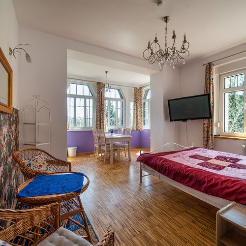 Apartament 2-osobowy Studio z panoramą z 1 pomieszczeniem sypialnianym
