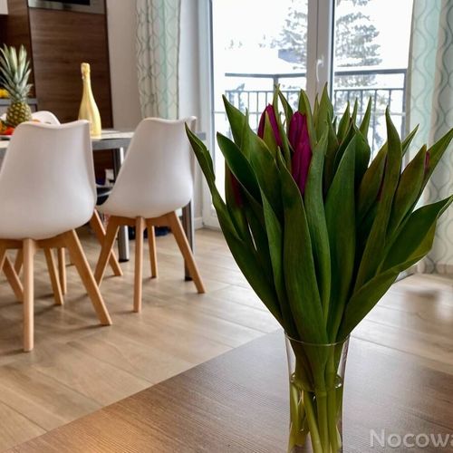 Apartament 4-osobowy z łazienką z aneksem kuchennym z 2 pomieszczeniami sypialnianymi