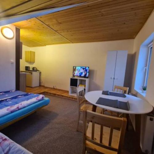 Apartament cu 1 camera pentru 3 pers.