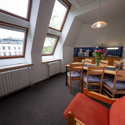 Apartament standard cu duș pentru 4 pers. (se poate solicita pat suplimentar)