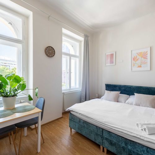 Apartman se sprchou s vlastní kuchyňkou s manželskou postelí s 1 ložnicí