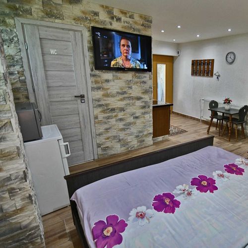 Apartament cu duș cu chicinetă proprie cu 1 camera pentru 2 pers.