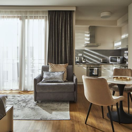 Apartament deluxe studio cu 1 camera pentru 2 pers. (se poate solicita pat suplimentar)