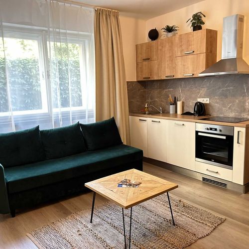 Apartament cu 1 camera pentru 2 pers. (se poate solicita pat suplimentar)