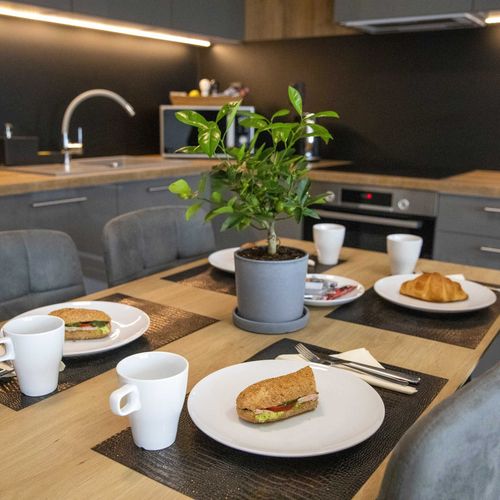 Apartament 2-osobowy z prysznicem z aneksem kuchennym z 1 pomieszczeniem sypialnianym (możliwa dostawka)