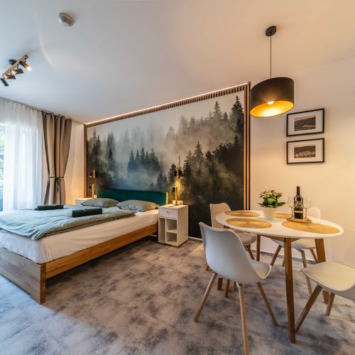 Apartman se sprchou s vlastní kuchyňkou pro 2 os. (s možností přistýlky)
