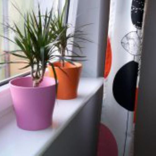 Apartament 4-osobowy z 1 pomieszczeniem sypialnianym